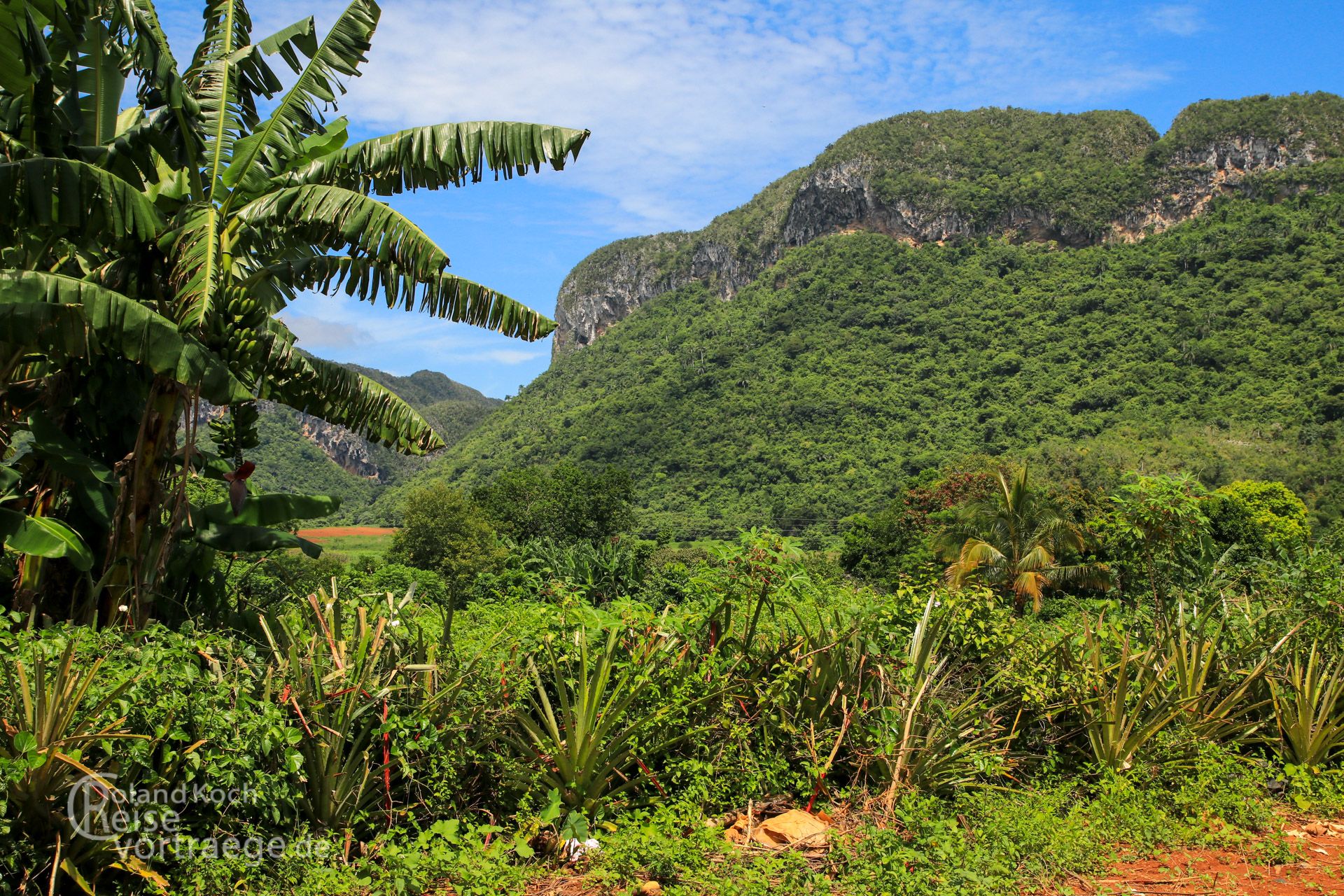 Kuba, Cuba, Vinales, typische Hügellandschaft der Mogotes